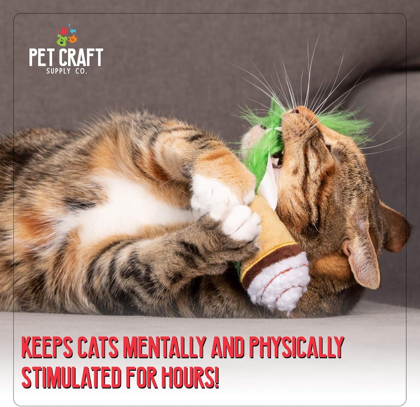 Silly Snacks and Funny Food Crinkle Cuddling Catnip and Silvervine Interactive Cat Toys - Great for Indoor Cats, Kittens or Medium Breeds