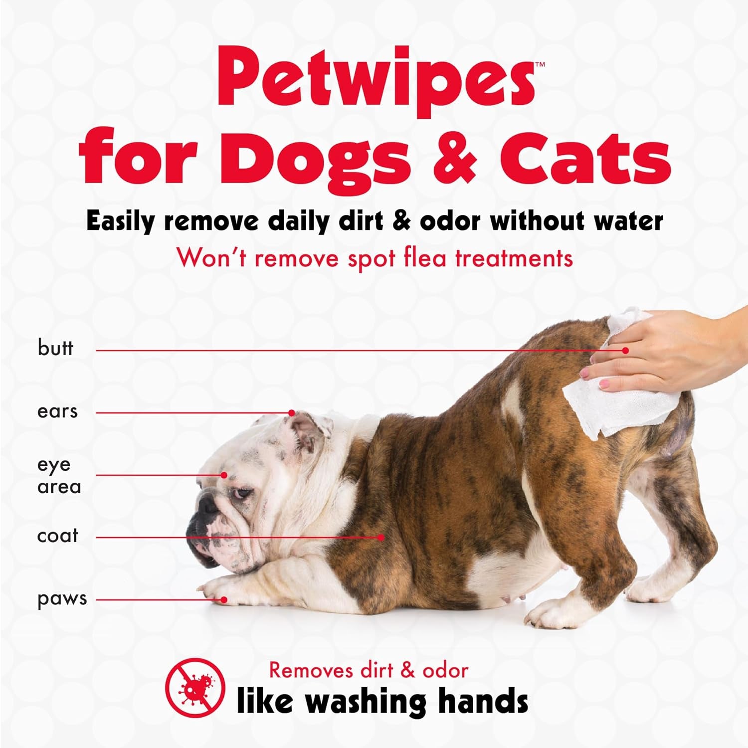 Pet Wipes for Dogs & Cats - 200 Large Wipes - Removes Dirt & Odor - Cleans Ears, Face, Butt, Eye Area - Convenient for Home or Travel - 2 Packs