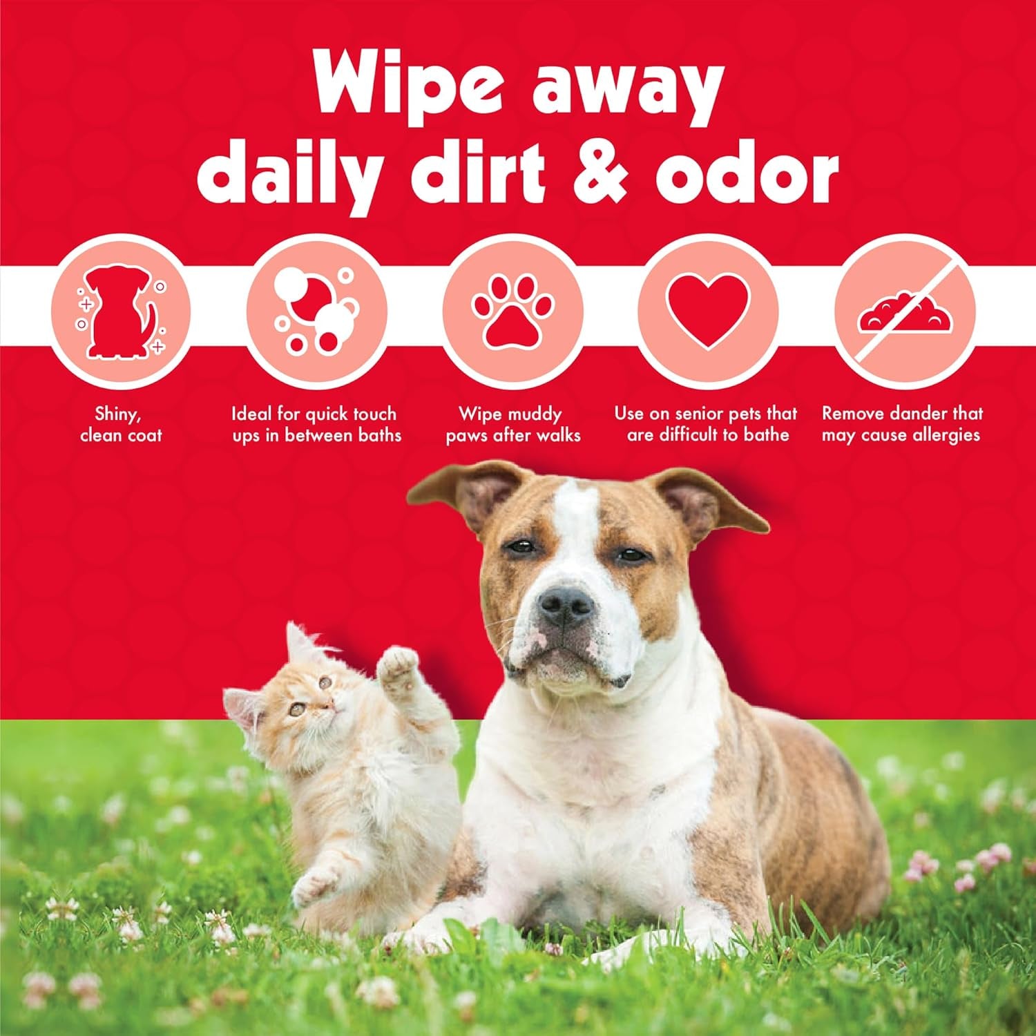 Pet Wipes for Dogs & Cats - 200 Large Wipes - Removes Dirt & Odor - Cleans Ears, Face, Butt, Eye Area - Convenient for Home or Travel - 2 Packs