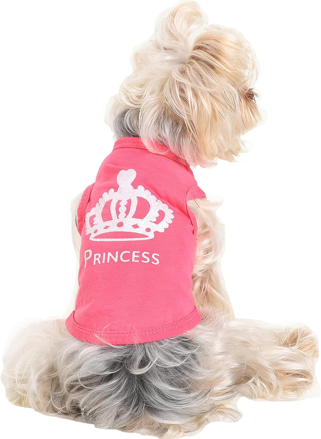 4 Pack Dog Clothes for Small Dogs Girl -  Xs Female Dog Clothes - Pet Puppy Shirts - Chiuahaha Outfit - Summer Fall Dog Costume - Doggie Cat Clothing for French Bulldog Yorkie Breed (XS)