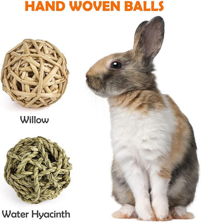 Natural Timothy Hay Chew Toys and Treats for Rabbits, Guinea Pigs, Hamsters, Chinchillas, and Rats with Apple Wood Sticks