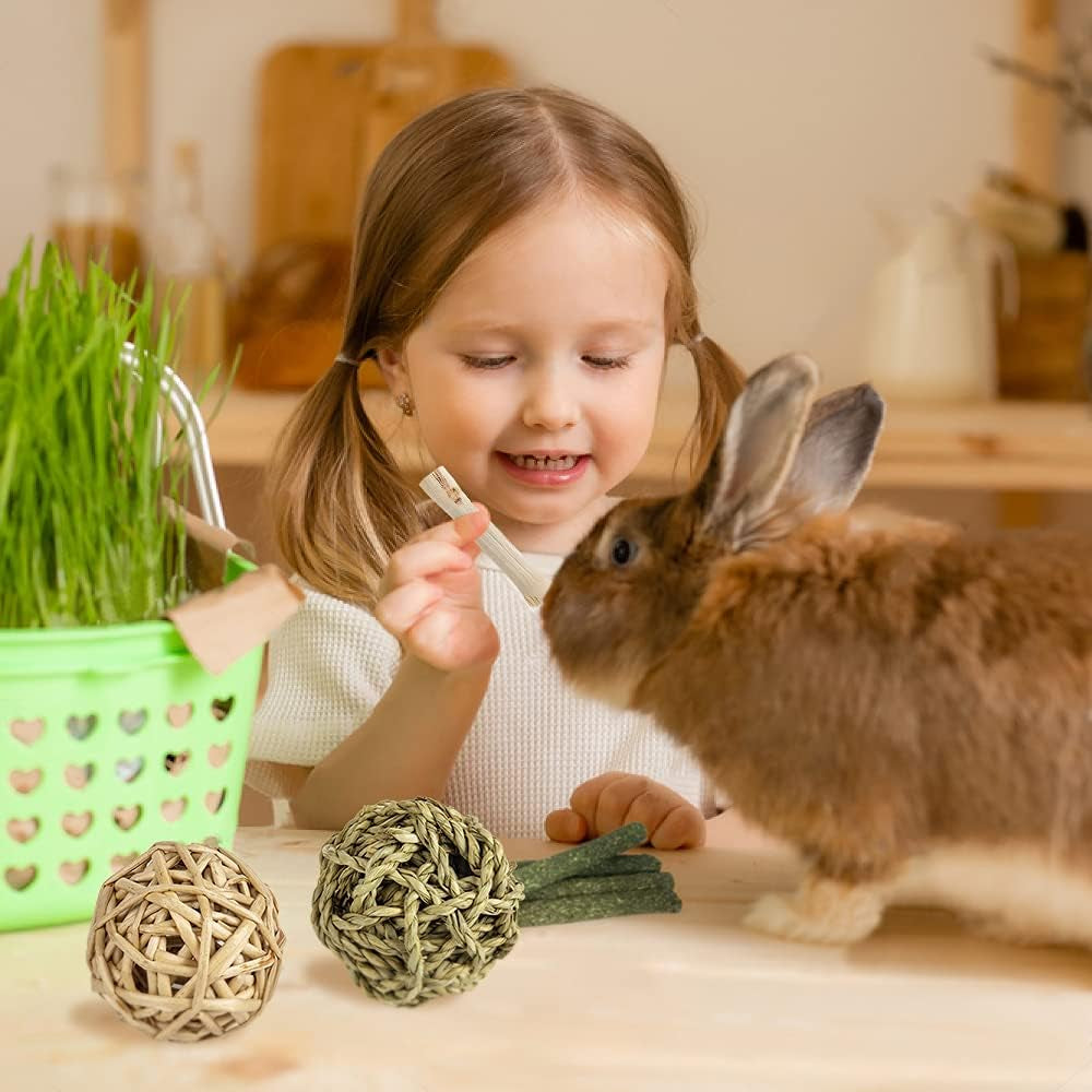 Natural Timothy Hay Chew Toys and Treats for Rabbits, Guinea Pigs, Hamsters, Chinchillas, and Rats with Apple Wood Sticks