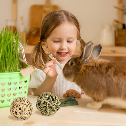 Natural Timothy Hay Chew Toys and Treats for Rabbits, Guinea Pigs, Hamsters, Chinchillas, and Rats with Apple Wood Sticks